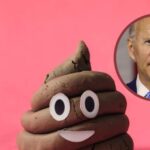 Zamurovic Brothers / shutterstock.com