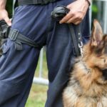 wellphoto / shutterstock.com