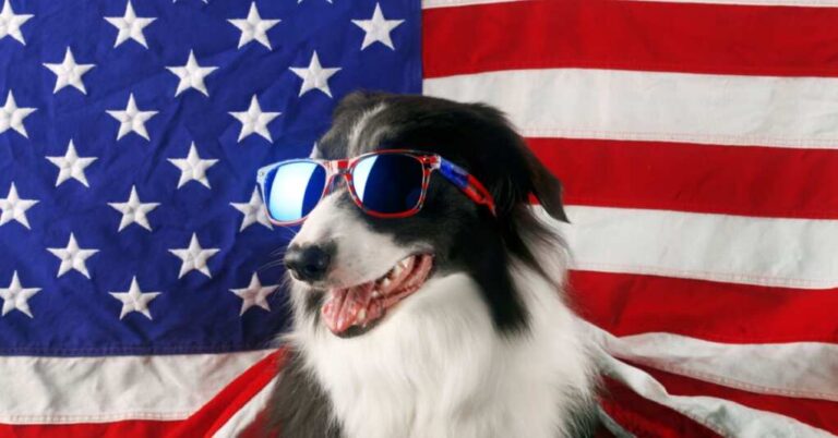 No Paws in the White House: Trump’s Canine Conundrum