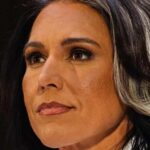 Gabbard Drops Hammer On Russiagate Figures Maxim Elramsisy / Shutterstock.com